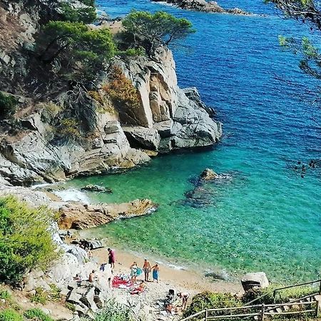 La Calma De Tossa Apartment Girona Ngoại thất bức ảnh