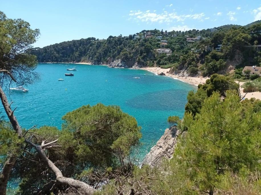 La Calma De Tossa Apartment Girona Ngoại thất bức ảnh
